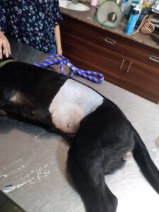 0b11e201e8814460bd36a26979fee195